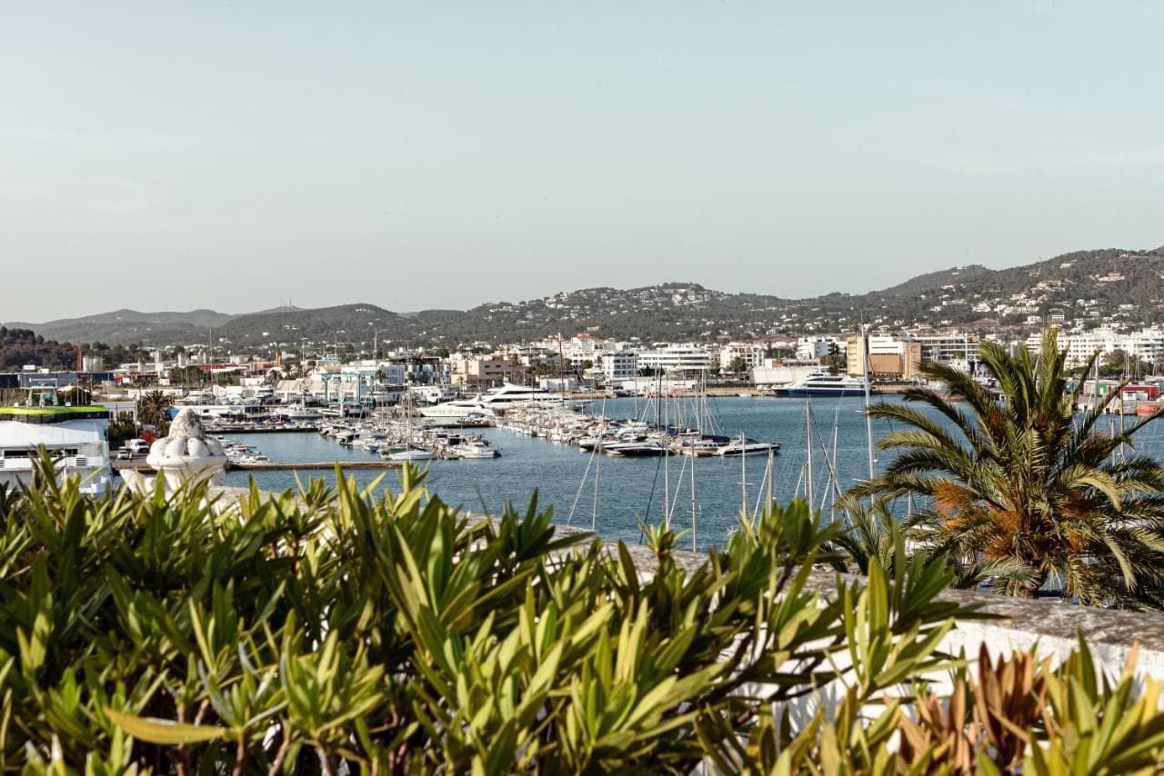 Montesol Experimental Ibiza – billede 4