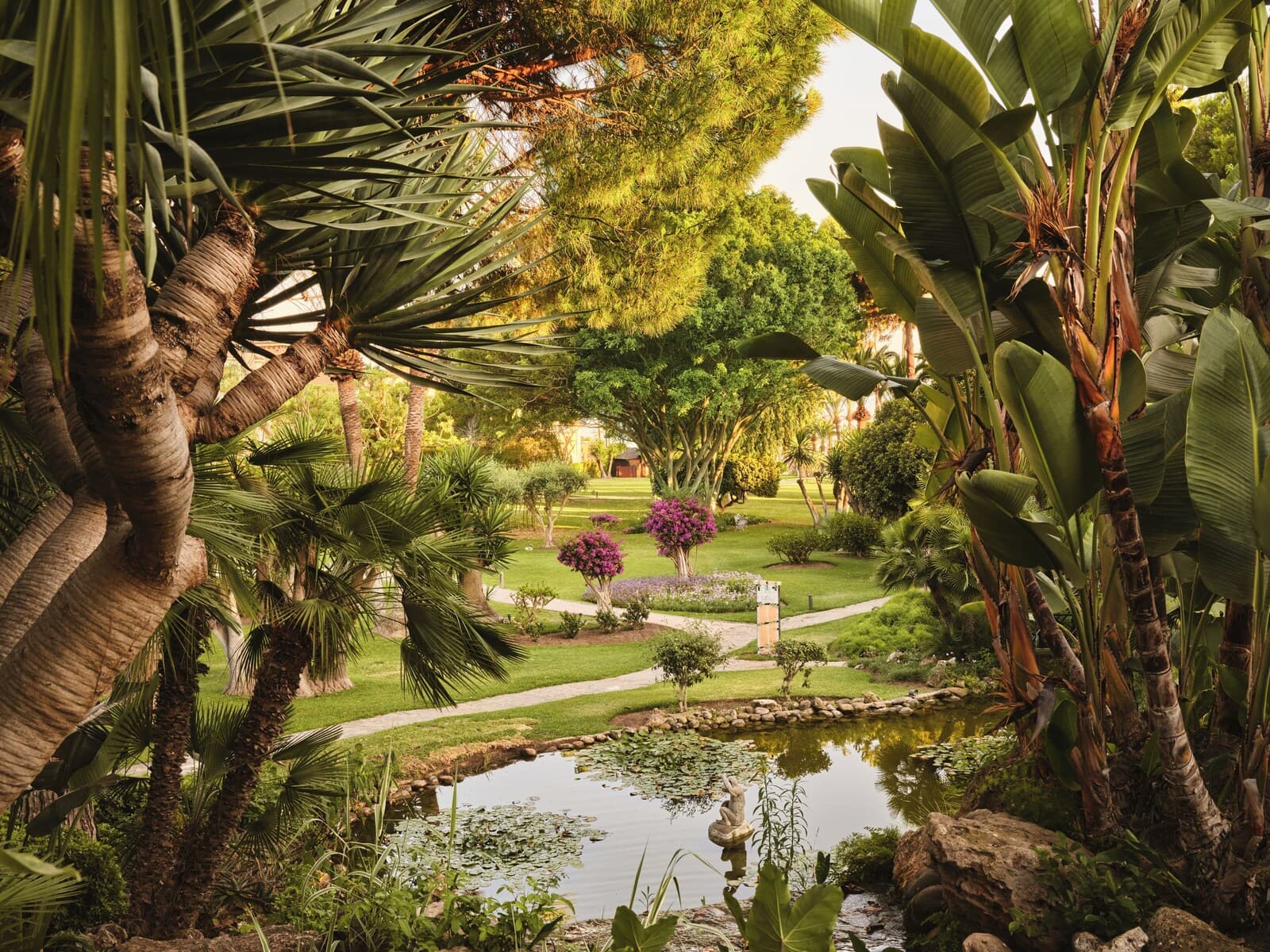 Don Carlos Marbella – billede 5