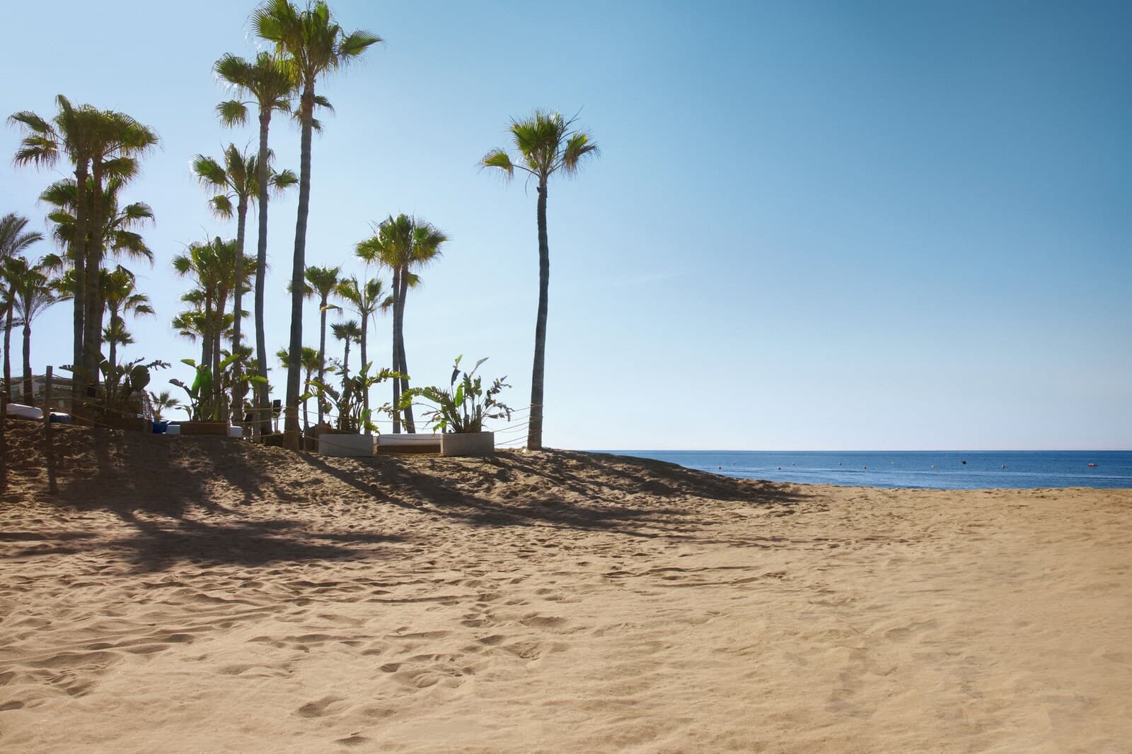 Don Carlos Marbella – billede 7