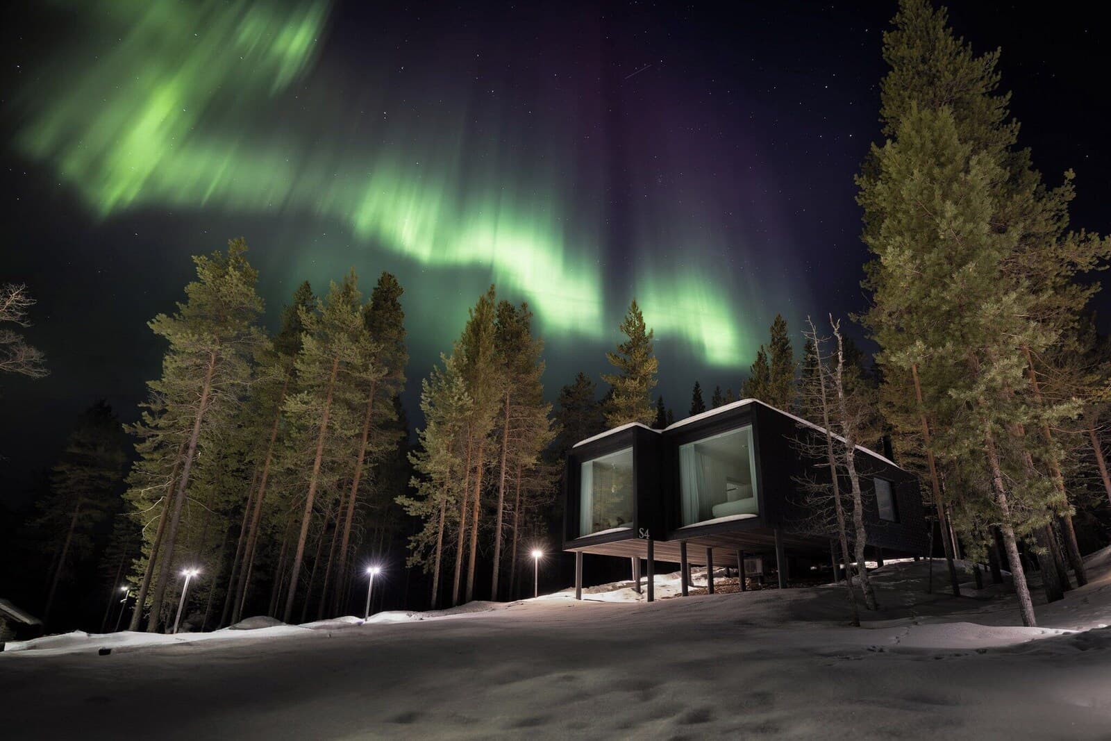 Arctic TreeHouse Hotel – hovedbillede