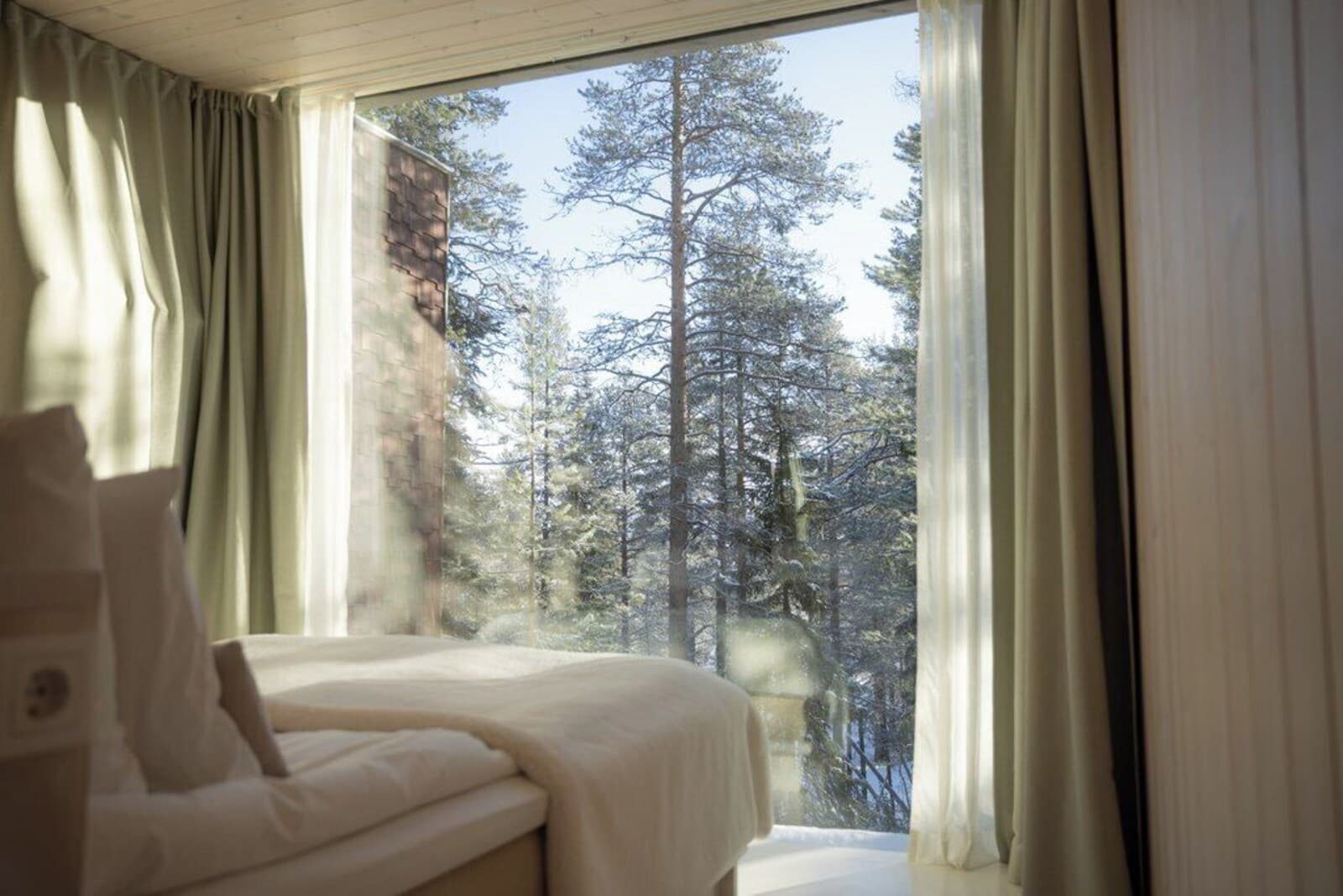 Arctic TreeHouse Hotel – billede 2